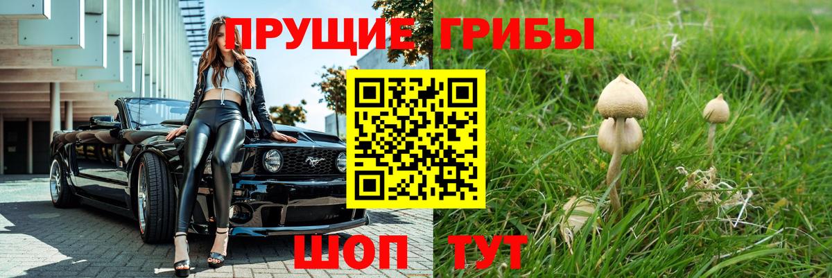 купить   Псилоцибиновые грибы мицелий  Вход с VPN  Киров 